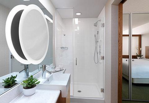 Springhill Suites By Marriott Houston Downtown/Convention Center Екстер'єр фото